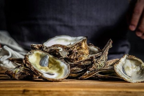 Oyster Shucking & Wine Pairing Workshop - Friday 28th October