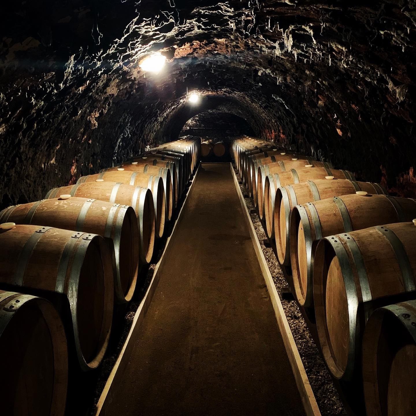 Tokaj - Cellars of Oremus