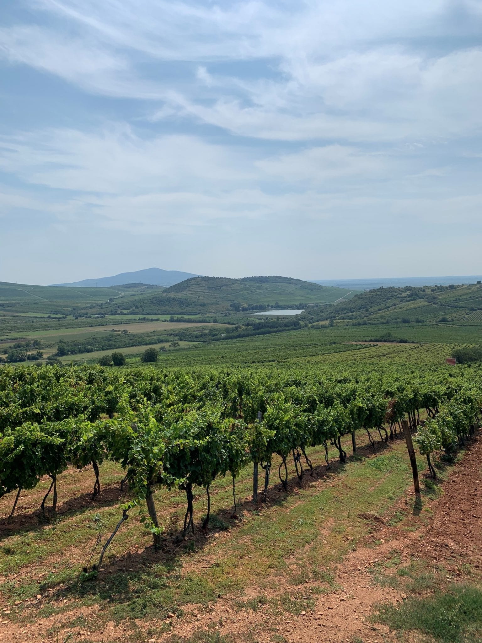 Tokaj - View from the Szent Tamas in Màd