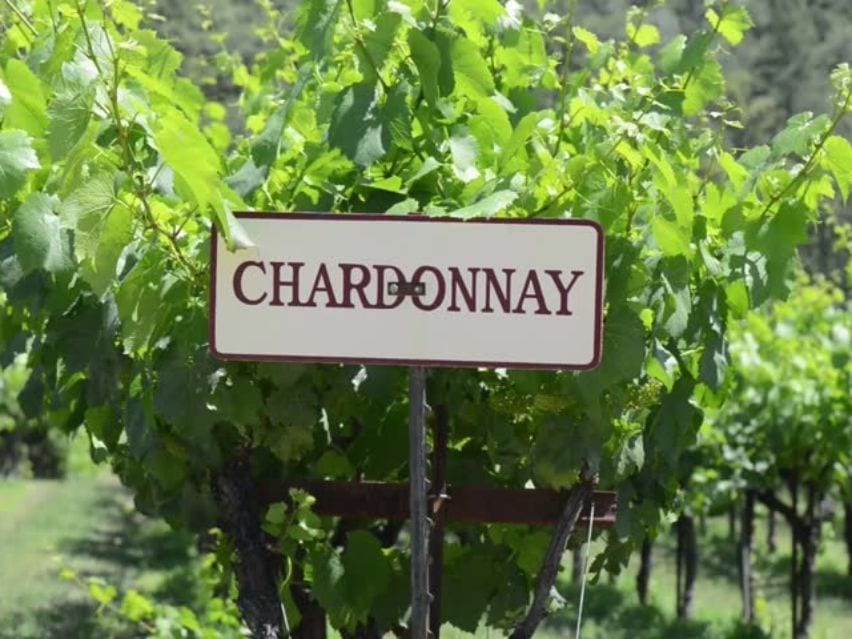 Chardonnay