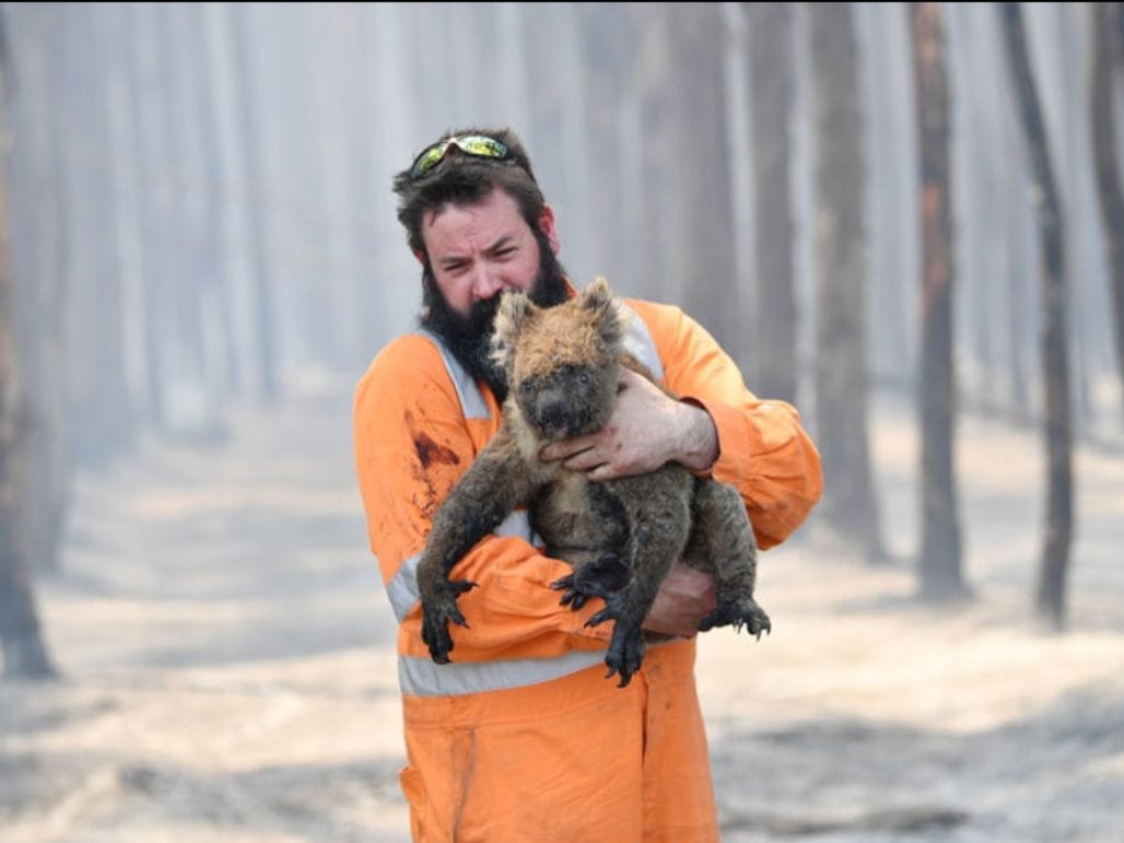 BYOB Australia Fires