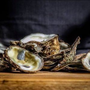 Oyster Boy