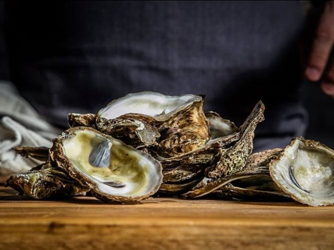 Oyster Boy