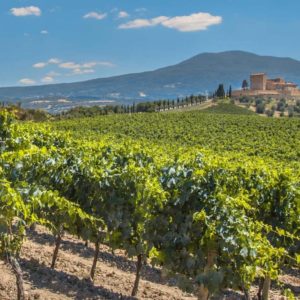 Rioja with Tim Atkin