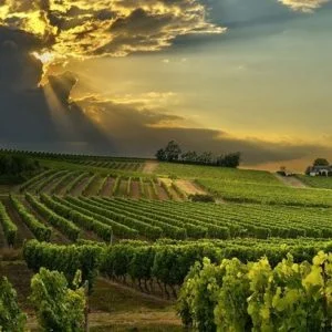 South of France