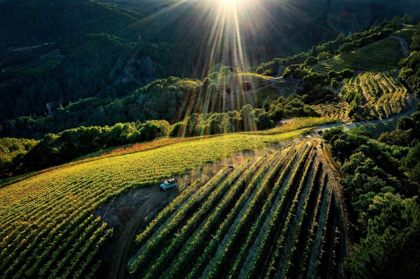 Napa Valley Spring Mountain District