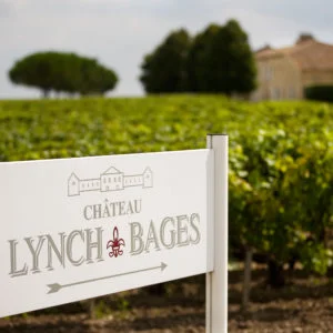Live From the Vines: Château Lynch-Bages