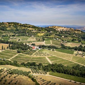 Live From the Vines: Biondi-Santi