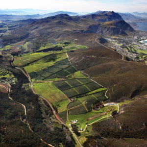 Live From the Vines: Hamilton Russell Wines