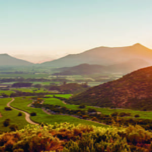 Live from the Vines: Seña