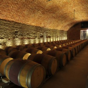 Live From the Vines: Viña Errázuriz - Don Maximiano