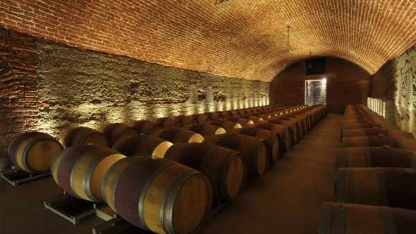 Live From the Vines: Viña Errázuriz - Don Maximiano