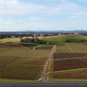 Live from the Vines: Tyrrell's Wines