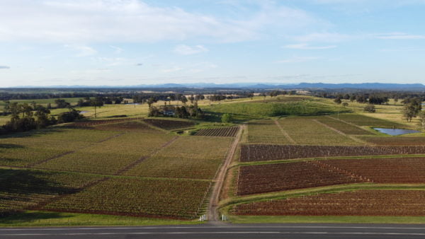 Live from the Vines: Tyrrell's Wines