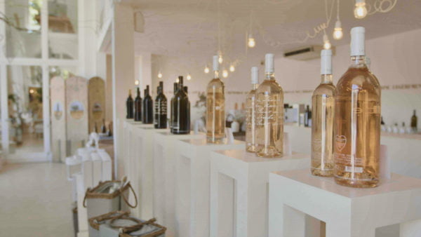 Live from the Vine: Château Léoube
