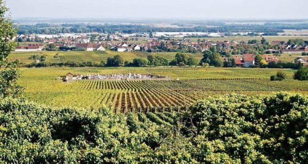 Burgundy Life Beyond the label with Raymond Blake | Wednesday 28th July