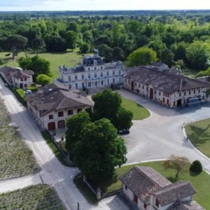 Live from the Vines: Château Giscours