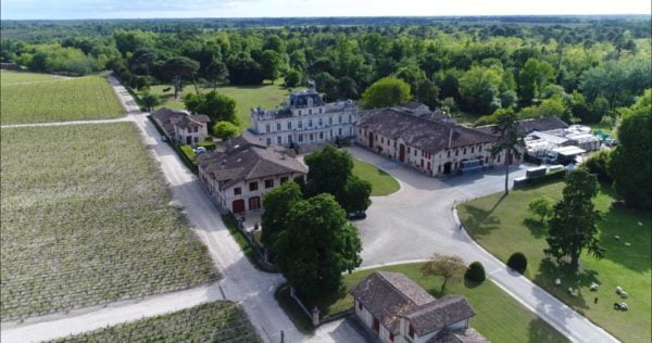 Live from the Vines: Château Giscours