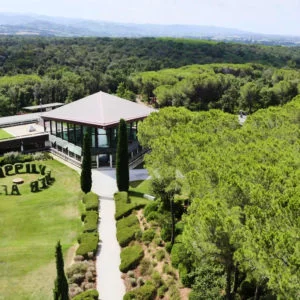 Live from the Vines: Ornellaia