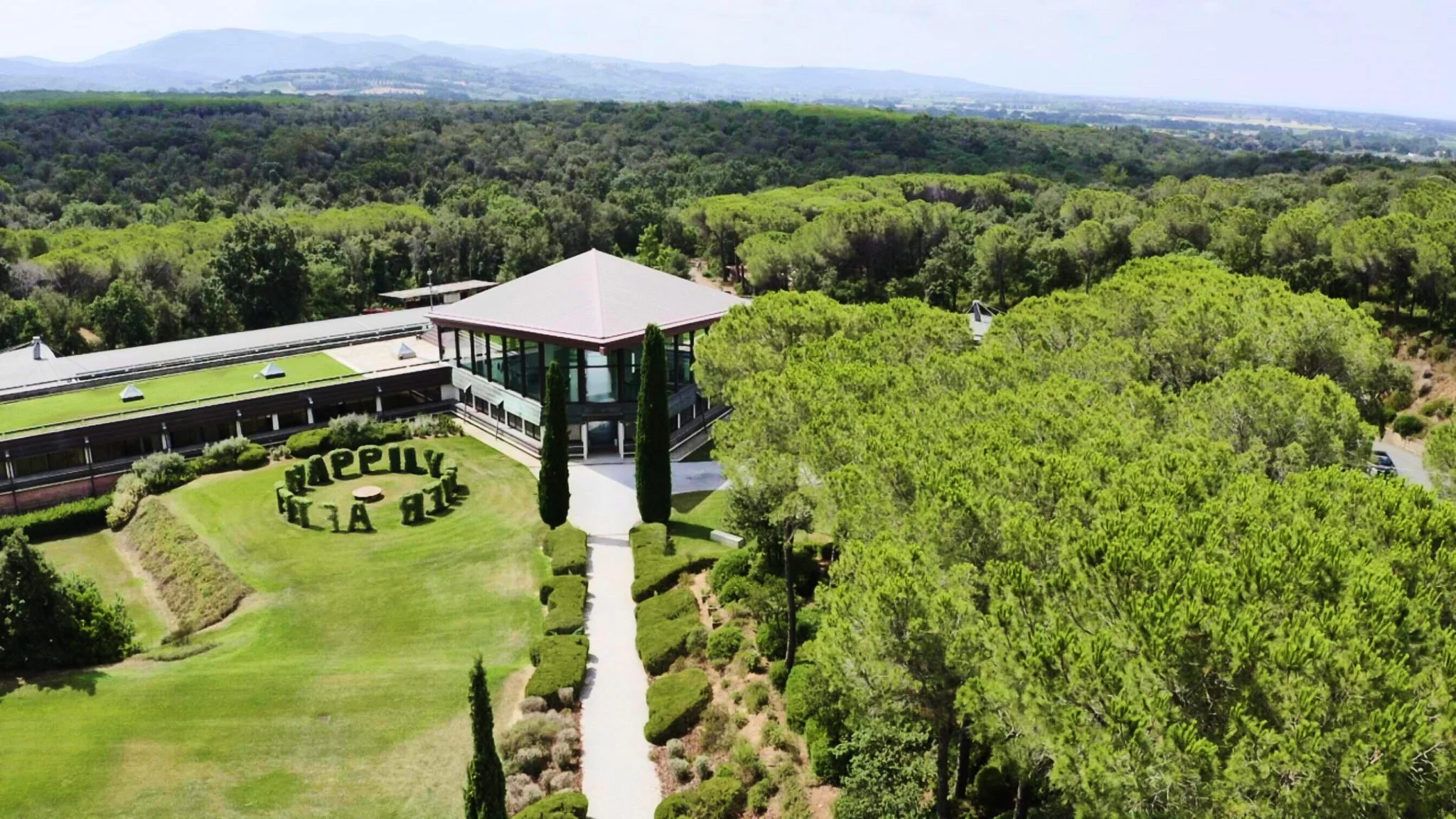 Live from the Vines: Ornellaia