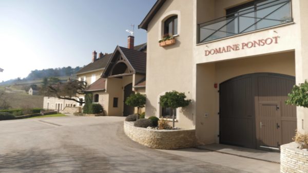 Live from the Vines: Domaine Ponsot