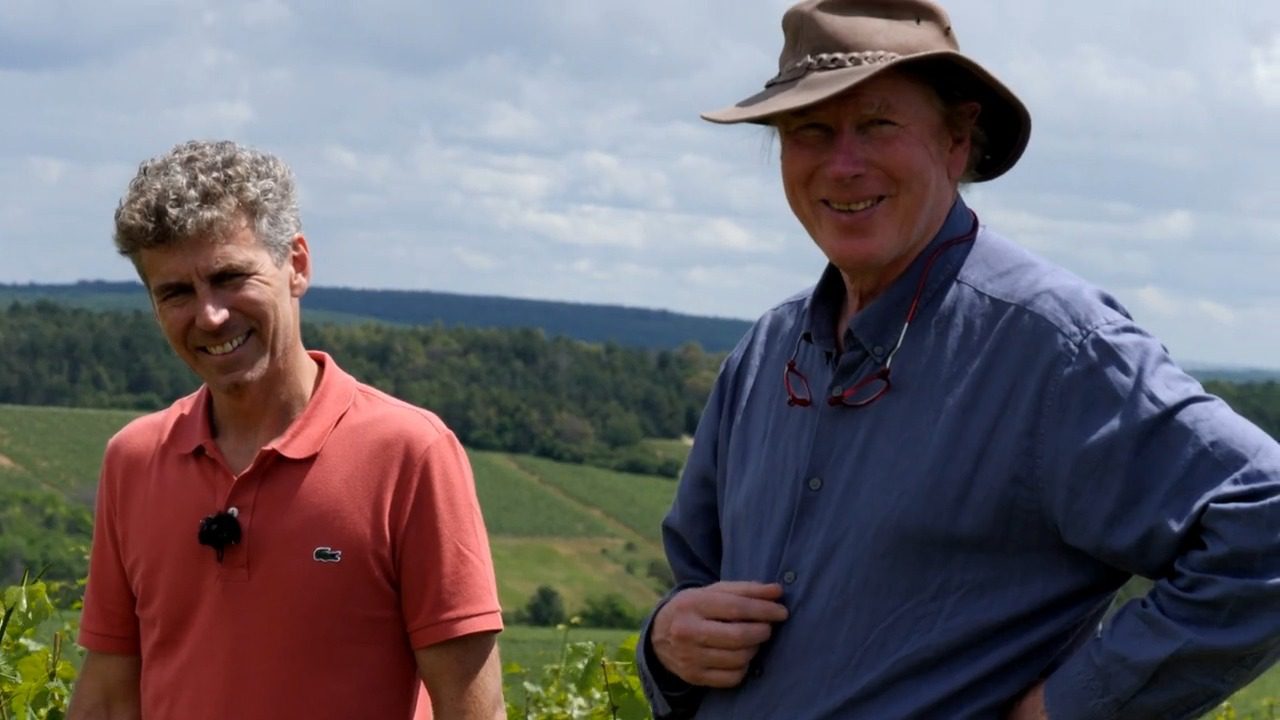 Live from the Vines: Domaine Louis Michel & Fils