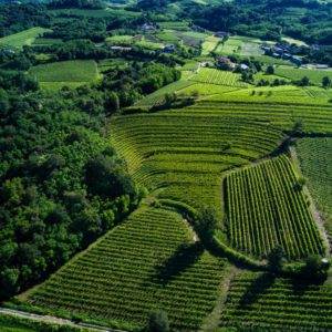Gabriele Gorelli MW presents new Luna di Ponca super-white from Borgo Conventi winery | Monday 27th September
