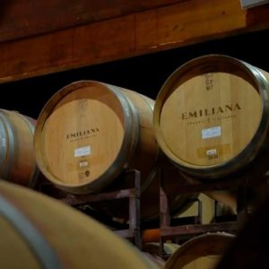 Live From the Vines: Emiliana Organic Vineyards