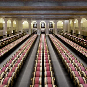 Live From the Vines: Château Montrose