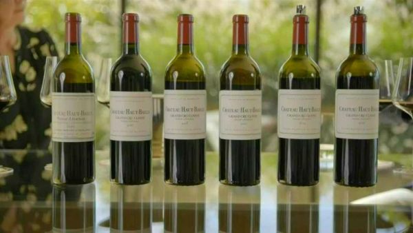 Live From the Vines: Château Haut-Bailly