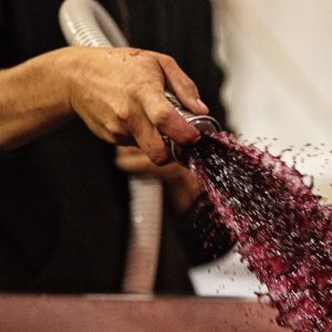 Rose and Arrow, the quest for Grand Cru in Oregon | Monday 8th November