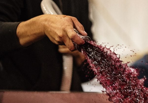 Rose and Arrow, the quest for Grand Cru in Oregon | Monday 8th November