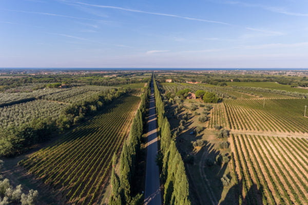 BOLGHERI 2019 ANTEPRIMA TASTING