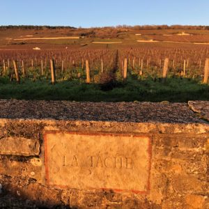 Raymond Blake's Burgundy