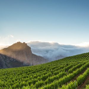 Oldenburg Masterclass with Winemaker Nic Van Aarde - Thursday 22nd September
