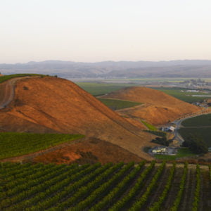 Bien Nacido & Solomon Hills Estate Masterclass with Will Costello MS