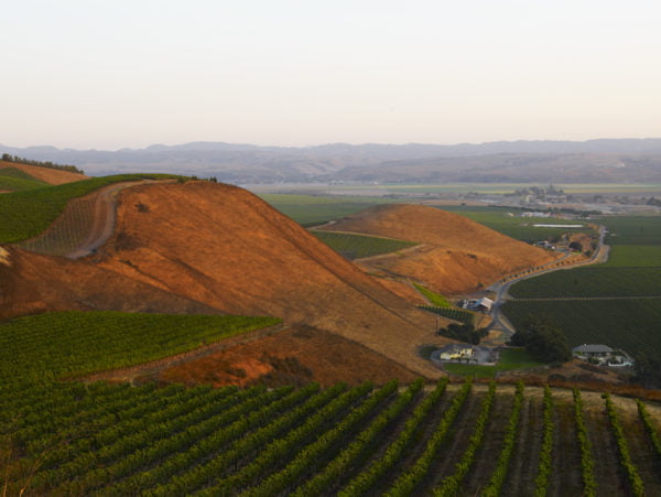 Bien Nacido & Solomon Hills Estate Masterclass with Will Costello MS