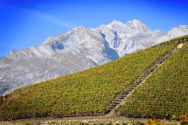 Swiss Wine Walk Around Tasting With Simon Hardy – Monday 3rd October