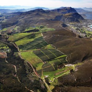 Live From the Vines: Hamilton Russell Wines