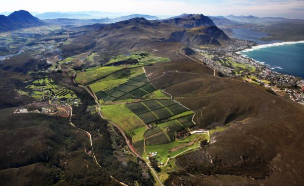 Live From the Vines: Hamilton Russell Wines