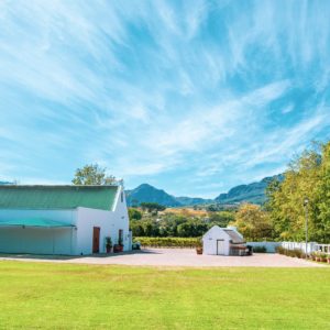 Live from the Vines: Ken Forrester Wines