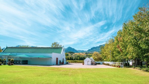 Live from the Vines: Ken Forrester Wines