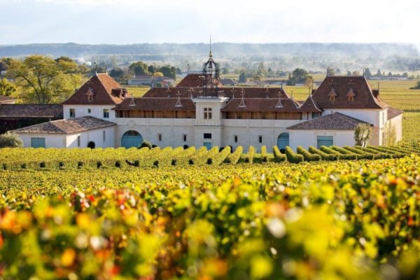 Live from the Vines: Château Angélus (example)