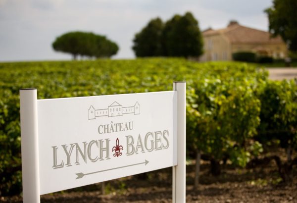 Live From the Vines: Château Lynch-Bages