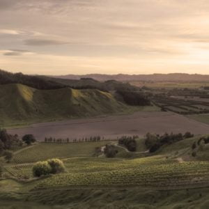 Live From the Vines:  Millton Vineyards and Winery