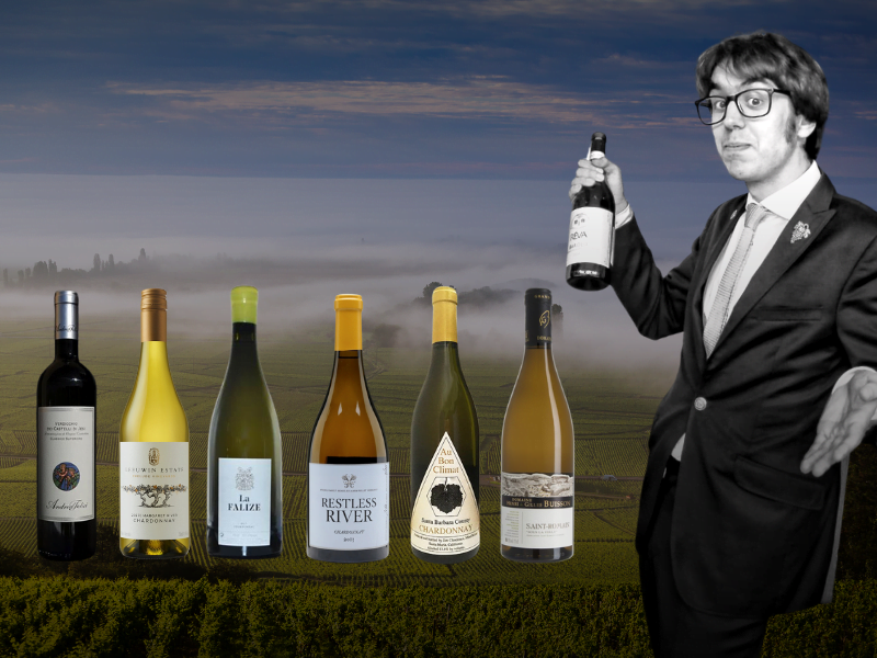 A Guide to Classic White Burgundy Alternatives with Nelson Pari - Wednesday 16th November