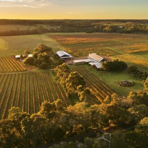 Live From the Vines: Cullen Wines