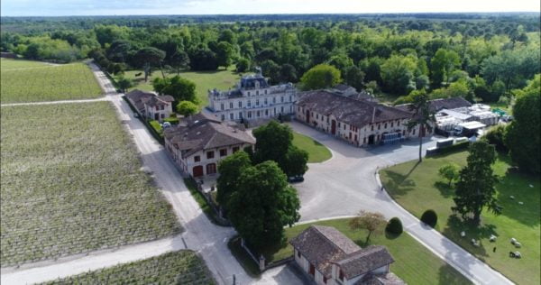Live from the Vines: Château Giscours