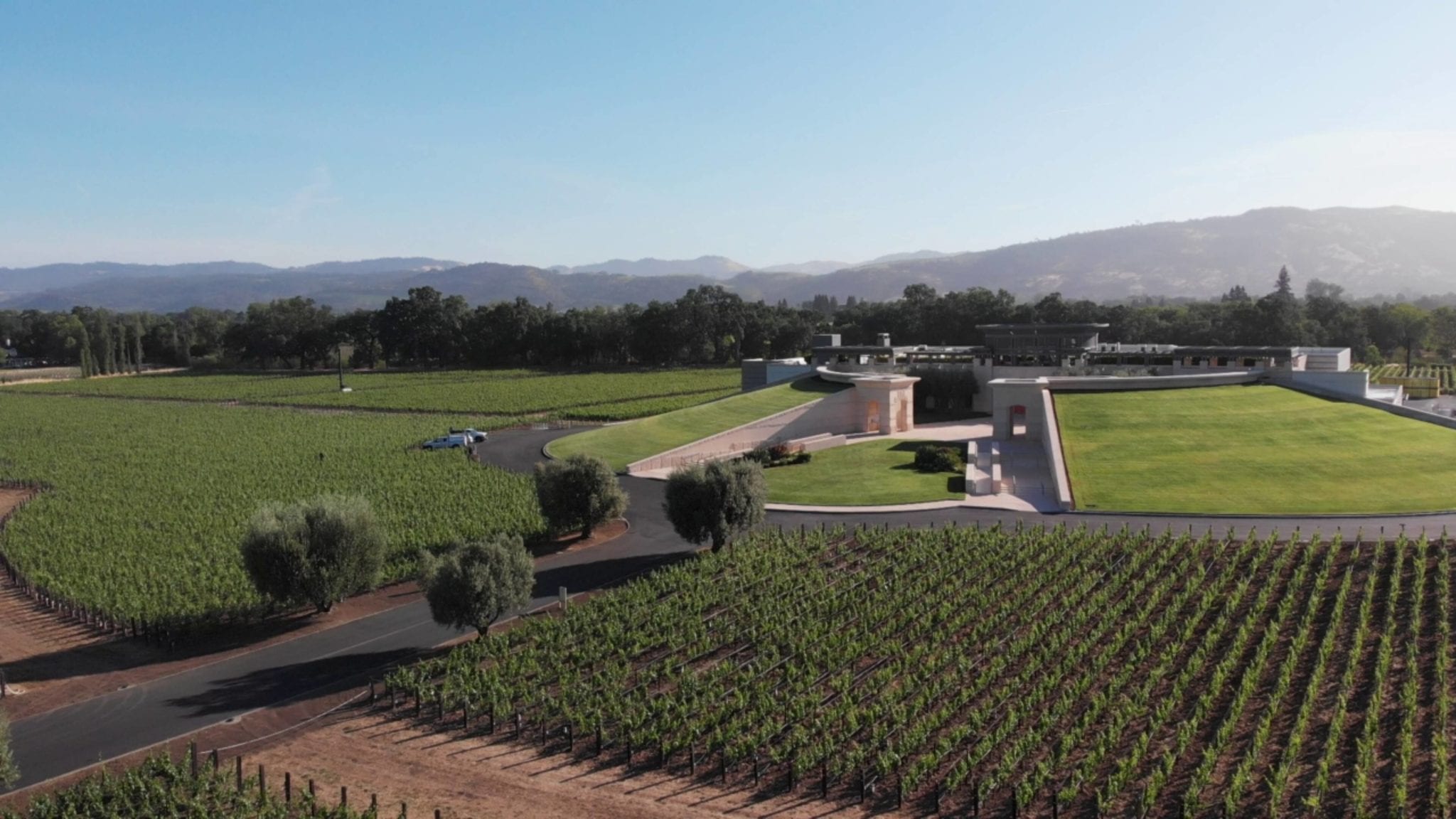 Live from the Vines: Opus One Winery