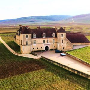 Live from the Vines: The Genius of Domaine d’Eugénie